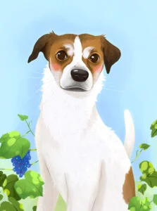 Ilustracja do wpisu: portret pupila jako pamiatka na zawsze