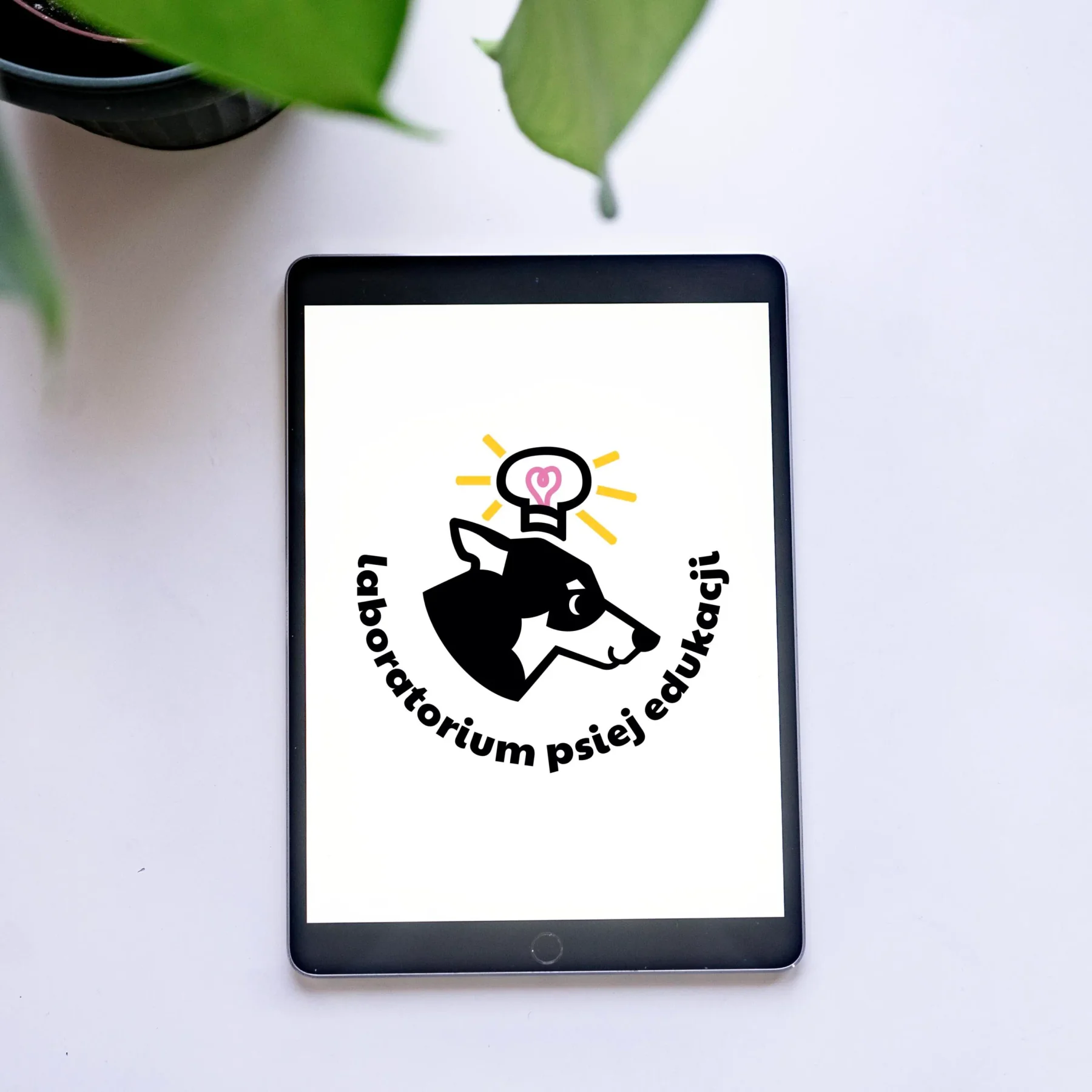 Projektowanie logo dla firmy szkoleniowej