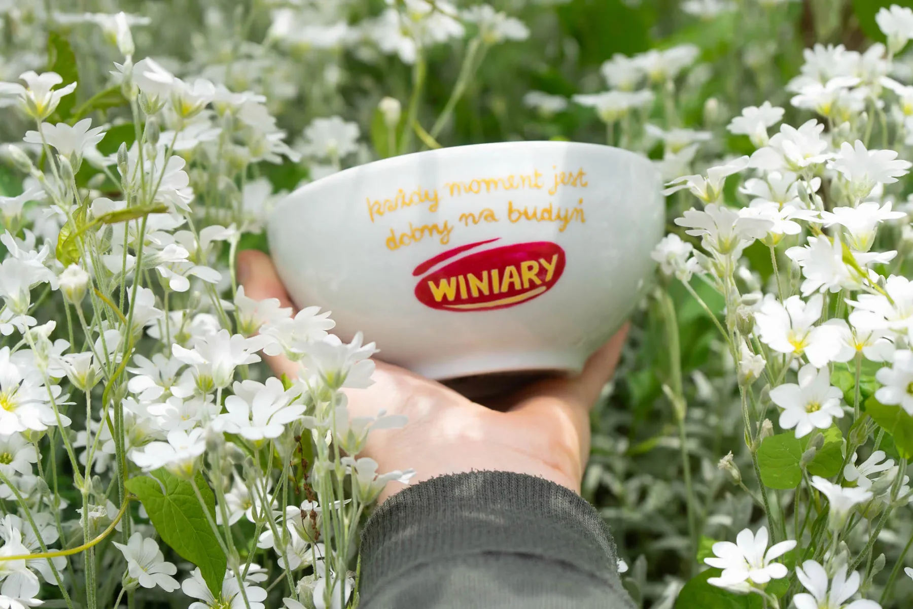 Ilustracja reklamowa - współpraca z firmą Winiary
