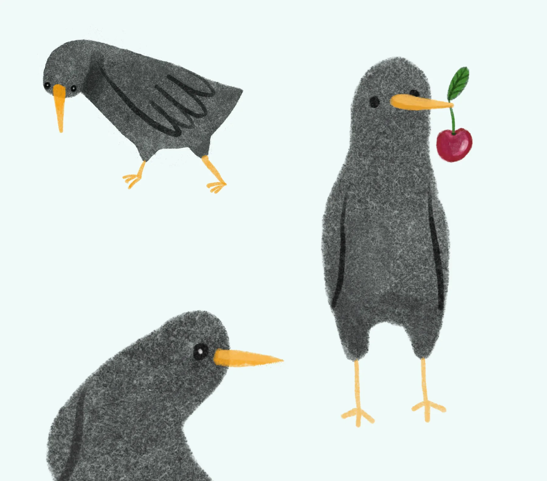 Ilustracja dla dzieci - trzy szare puchate ptaszki, jeden z wisienką w dziobie