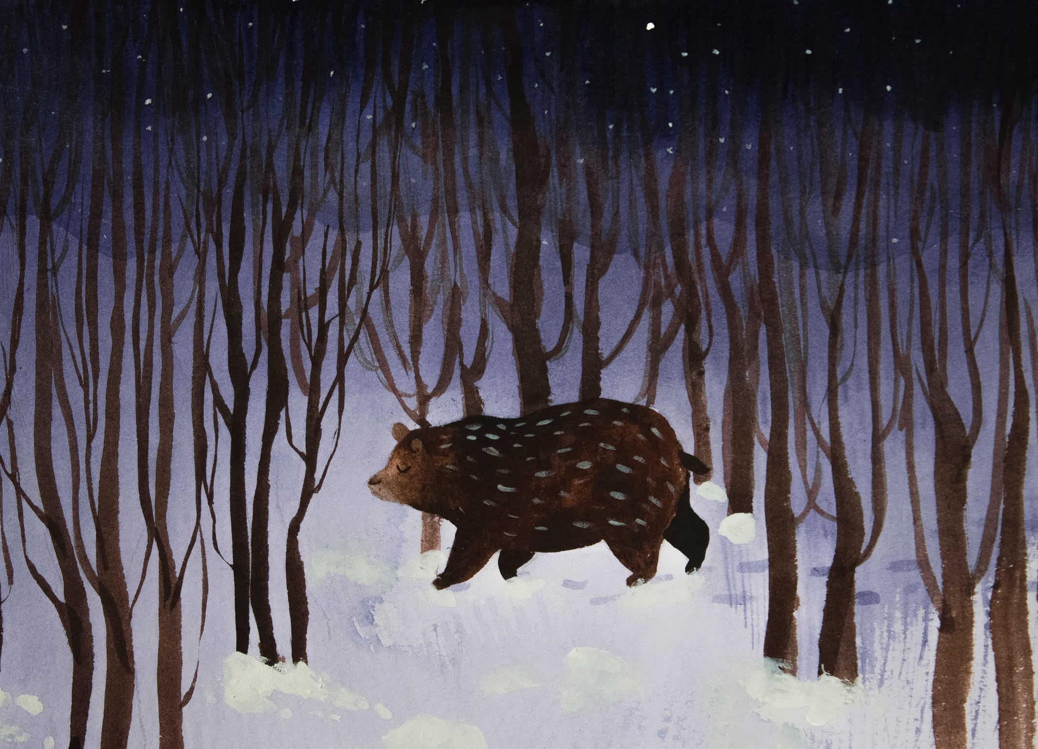 Zimowa ilustracja niedźwiedzia